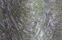 The Willows fibreglass roof work